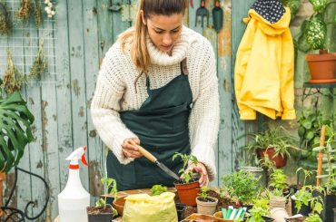 Experten-Tipps für die Gartenarbeit