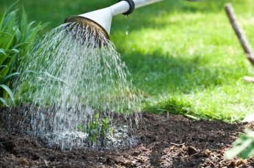 Top Tipps für die Gartenbewässerung