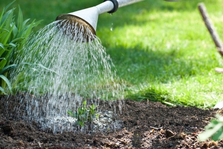 Top Tipps für die Gartenbewässerung