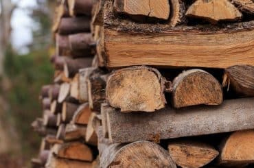 Brennholz für Haus und Garten im Check