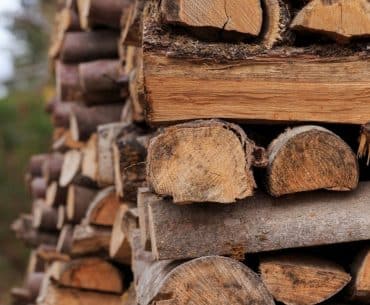 Brennholz für Haus und Garten im Check