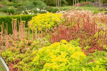 Gestaltungstipps für den Außenbereich deiner Gartensauna