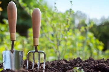 Die ultimative Geschenkliste für Gartenfreunde