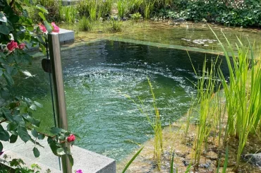 Naturpool als Bio-Alternative zum klassischen Swimmingpool