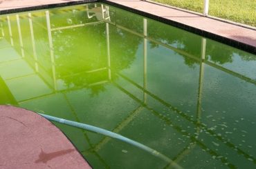 So reinigst du einen grünen Pool in nur 5 Tagen