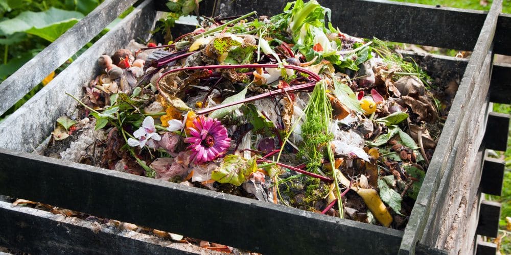 Geeignete Abfälle für den Kompost