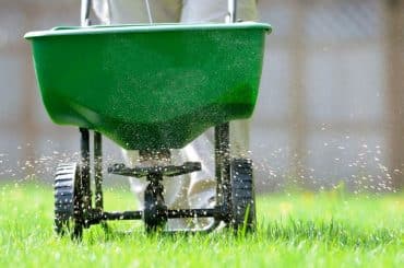 Rasenpflege für Anfänger von Frühjahr bis Winter