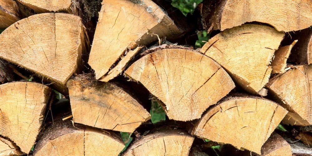 Fichte als Brennholz: Vorteile und Nachteile