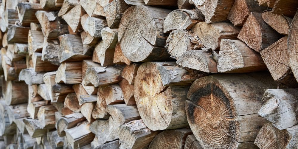 Tanne als Brennholz: Vorteile und Nachteile