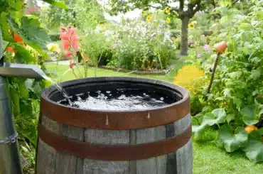 6 geniale Wasserspeicher für den Garten