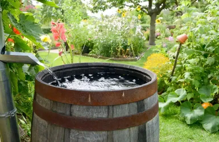 6 geniale Wasserspeicher für den Garten