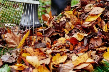 Laub im Garten: Clevere Tipps für die Beseitigung und Wiederverwendung