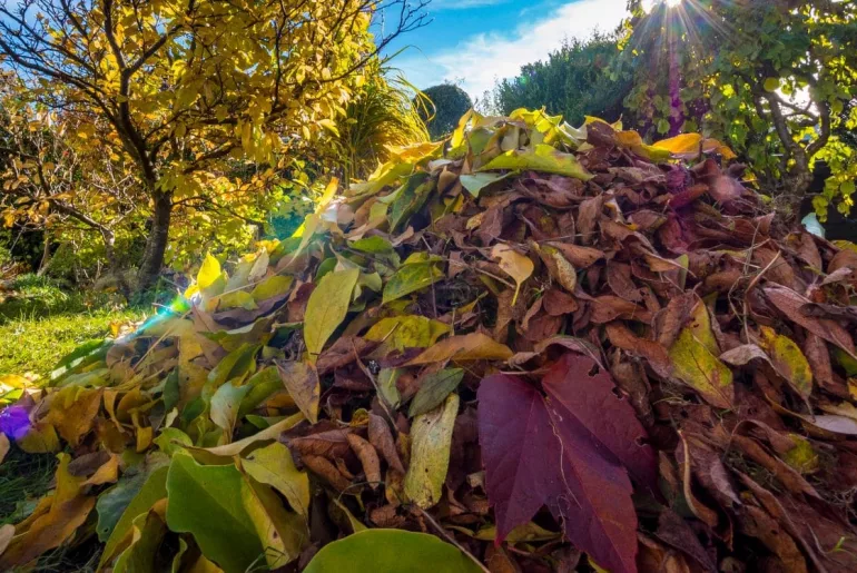 Warum ein Laubhaufen im Garten so wertvoll ist